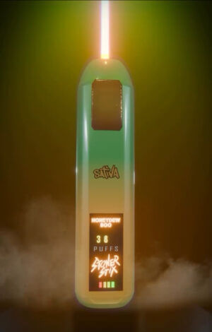 Stoner stix, stix disposable, stoner stix disposable, stoner stix 2g, stoner stix 2g disposable,