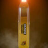 Stoner stix, stix disposable, stoner stix disposable, stoner stix 2g, stoner stix 2g disposable,