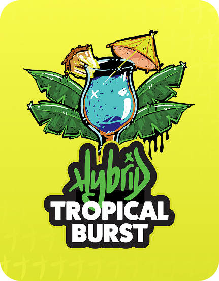 Stoner stix, stix disposable, stoner stix disposable, stoner stix 2g, stoner stix 2g disposable,