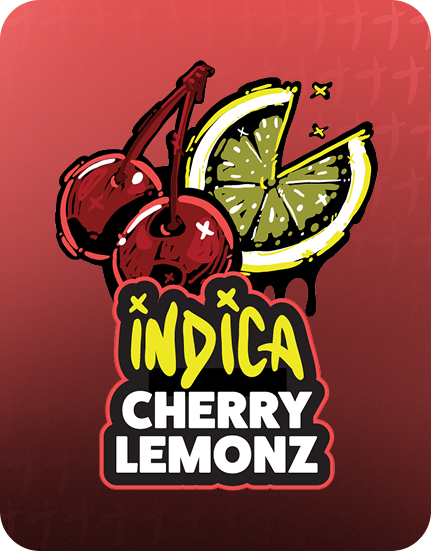 Stoner stix, stix disposable, stoner stix disposable, stoner stix 2g, stoner stix 2g disposable,