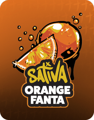 Stoner stix, stix disposable, stoner stix disposable, stoner stix 2g, stoner stix 2g disposable,