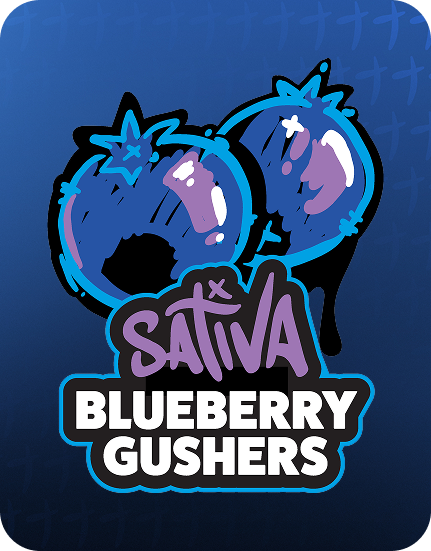 Stoner stix, stix disposable, stoner stix disposable, stoner stix 2g, stoner stix 2g disposable,